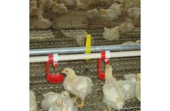 China Chicken Poultry Automatic Pan Feeding System Nipple Drinking Line supplier