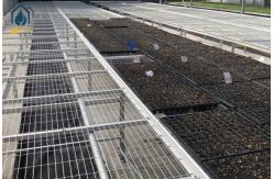 China Stackable Galvanized Mesh Seed Bench Agriculture Rolling Tables For Greenhouse supplier