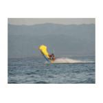 Lake Towable Inflatables Flying Fish Boat Tube for Outdoor Acctivity for sale
