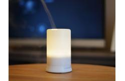 China Home Electric Aroma Diffuser Machine Aroma Mist Diffuser 100ml supplier