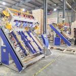 Automatic Storti Block Pallet Production Line Nailer Machine for sale