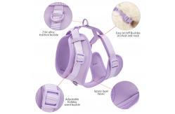 China Neoprene Leash Collar Combo Adjustable Soft PVC Red Collar And Leash supplier