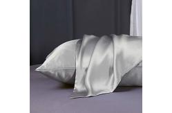 China 100 Percent Hair Mulbery Silk Pillowcase With Zipper Home Use supplier