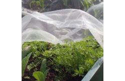 China Plastic Mesh  Insect Screen Net For Vegetables And Fruits supplier