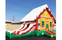 China Customized Inflatable Bouncer Slide Children Bouncy Castle supplier