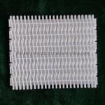                  900 Series Easy-to-Clean Plastic Conveyor Belts with 27.2mm Pitch              for sale