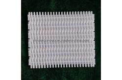 China                  900 Series Easy-to-Clean Plastic Conveyor Belts with 27.2mm Pitch              supplier
