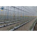 Hydroponic Nutrients Planting Trough PP Roll Growing Gutter For Tomatoes