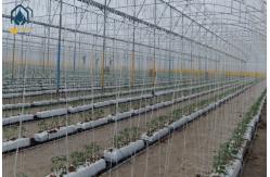 China Hydroponic Nutrients Planting Trough PP Roll Growing Gutter For Tomatoes supplier