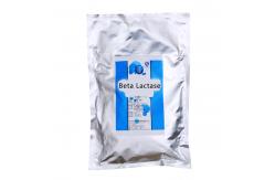 China Customized Beta Lactase Low Sensitivity Milk Processing White Powder Like supplier