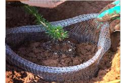 China Knitting Copper Root Guard Gopher Basket 0.12mm Diameter supplier
