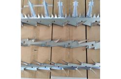 China Thickness 2mm Fence Security Spikes Length 1.25m Barbed Wire Spikes supplier