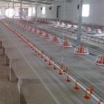 Automatic Water Bowl For Chickens Poultry Drinking Line Parts Stainless