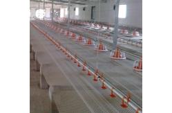 China Automatic Water Bowl For Chickens Poultry Drinking Line Parts Stainless supplier