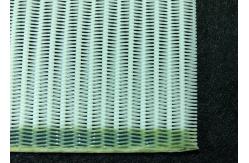 China Foodstuff Industry Polyester Mesh Belt For Conveying supplier