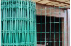 China PVC Euro Welded Fence 700nwt 6 Gauge Welded Wire Mesh supplier