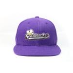 100% Acrylic Personalized Snapback Hats / Embroidery Logo Snapback Cap And Hat for sale