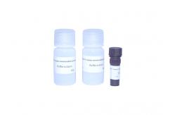China Sperm Mitochondria Staining Kit High Accuracy Male Fertility Test Kit supplier