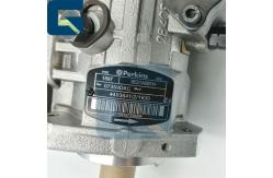 China 9521A081H Engine DP310 Original New Diesel Fuel Injection Pump supplier