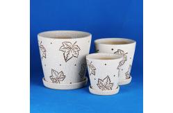 China Easy To Clean Ceramic Pots For Small Spaces Simple Maintenance-Friendly supplier
