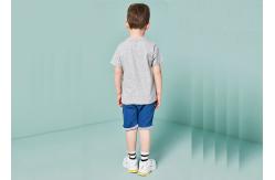 China 100% Organic Cotton Blank Print T Shirt Kids Clothes , Girls And Boys Summer Clothes supplier