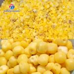 1000KG/H Papaya automatic dicing machine Large fruit and vegetable dicing machine