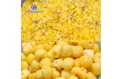 China 1000KG/H Papaya automatic dicing machine Large fruit and vegetable dicing machine supplier