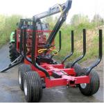 Twin Blade Timber Mill, Double Heads Vertical Slabber Sawmill Machine