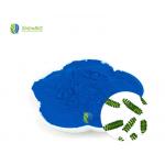 Phycocyanin Powder for sale