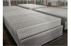 China 50x50mm aperture galvanized fence 4mm welded wire mesh panel supplier