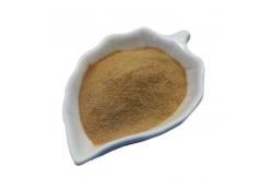 China Bacillus Subtilis Ruminants Feed Probiotics 100 Billion CFU/G In Poultry Feed supplier