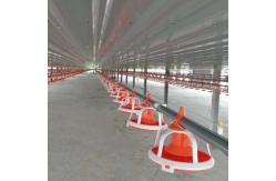 China Duck Layer Hens Chicken Shed Broiler Poultry Equipment supplier