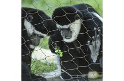 China Corrosion Resistant Black Oxide Zoo Animal Fence Mesh supplier