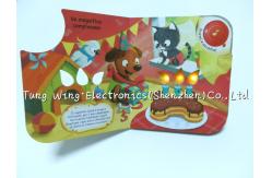 China Twinkling Lights Flashing Toy Sound Module , Flashing recordable voice chip supplier