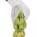 China 4% UV Spunbond Pp Non Woven Banana Bunch Cover Bag In White Blue for sale