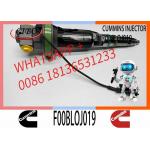 4955524 F00BL0J019 Common Rail Fuel Injector For QSK19 QSK60 Engine