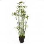 Height 155cm Artificial Potted Floor Plants Cyperus Eco Friendly for sale