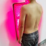 Photodynamic PDT Deep Penetration Red Light Therapy Pad For Back Pain Reduction for sale