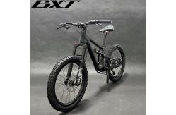 China Full Suspension Carbon Mountain Bike 10 Speed Shimano Groupset For Kids supplier