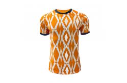 China 2023-2024 Africa Ghana National Team Jersey Cutting-Edge 100% Polyester Fabric supplier