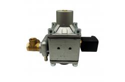 China Sequential Injection CNG Pressure Reducer Autogas Conversion Car Fuel Pressure Regulator supplier