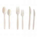 Biodegradable Spoon Knife And Fork Eco Friendly PLA Disposable Plastic Cutlery Set for sale
