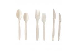 China Biodegradable Spoon Knife And Fork Eco Friendly PLA Disposable Plastic Cutlery Set supplier