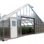 Single Span Greenhouse Mushroom Growing Equipment Covered with Transparent Plastic Film for sale