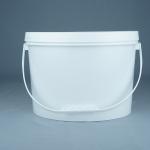 Fruit Oval Shaped Plastic Bucket with Thermal Transfer and Screen Printing