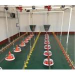 Poultry House Automatic Auger Feeding System Chicken Cage Feeder