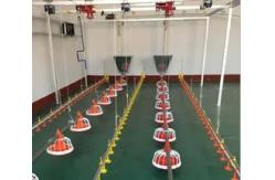 China Poultry House Automatic Auger Feeding System Chicken Cage Feeder supplier