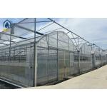 Multi Span Greenhouse Construction For Sustainable Farming And Soil Free Farming for sale