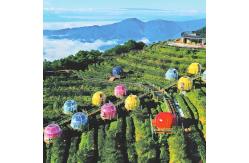 China PC Dome House Round Clear Bubble Tent With Curtain And Lighting System supplier