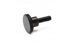 China SS201 Flat Head Electrical Screws , Grade 6.8 Brass Knurled Thumb Screw supplier